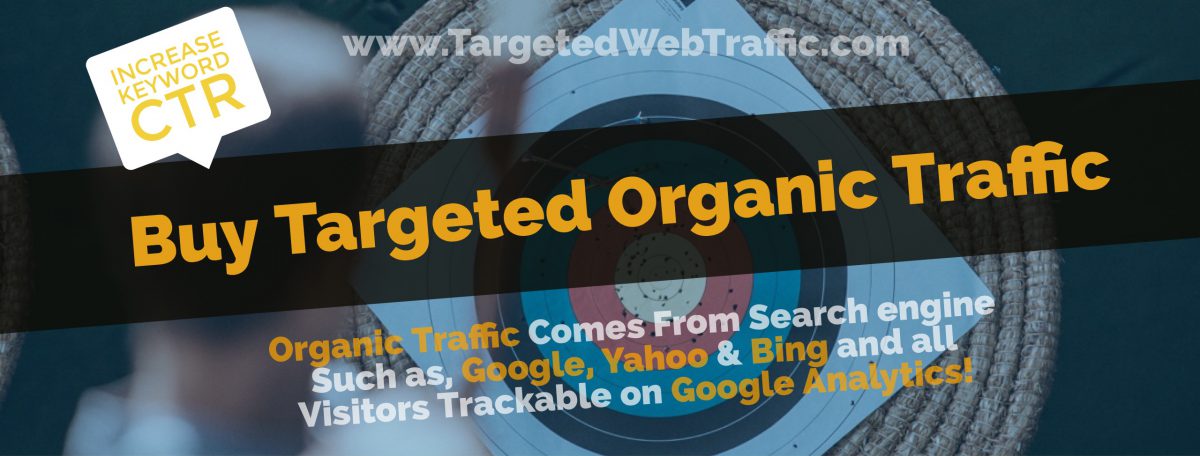 Targeted Organic Search Keyword Web Traffic